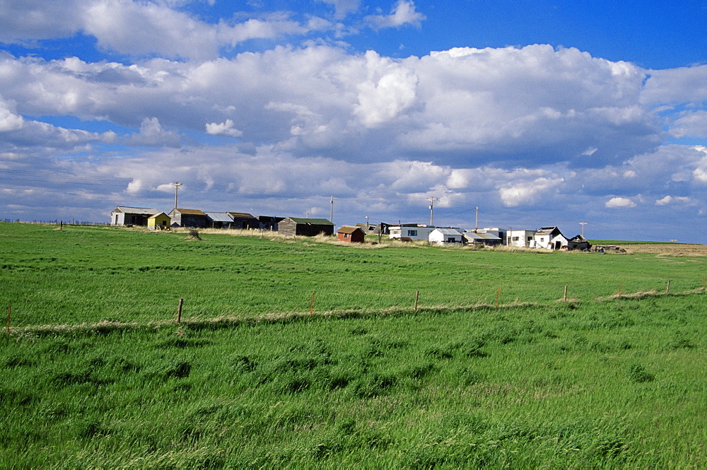 Farm on the prairie, Murdo area, South Dakota, United States of America, North America