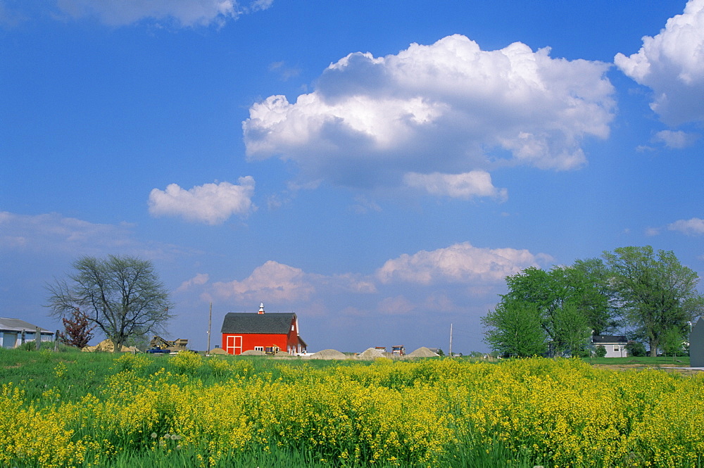 Barn, South Bend area, Indiana, United States of America, North America