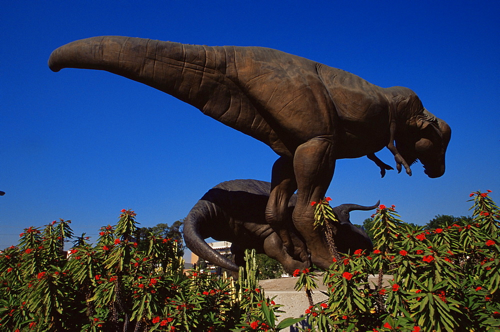 Tyrannosaurus dinosaur, Los Angeles County Museum of Natural History, California, United States of America, North America