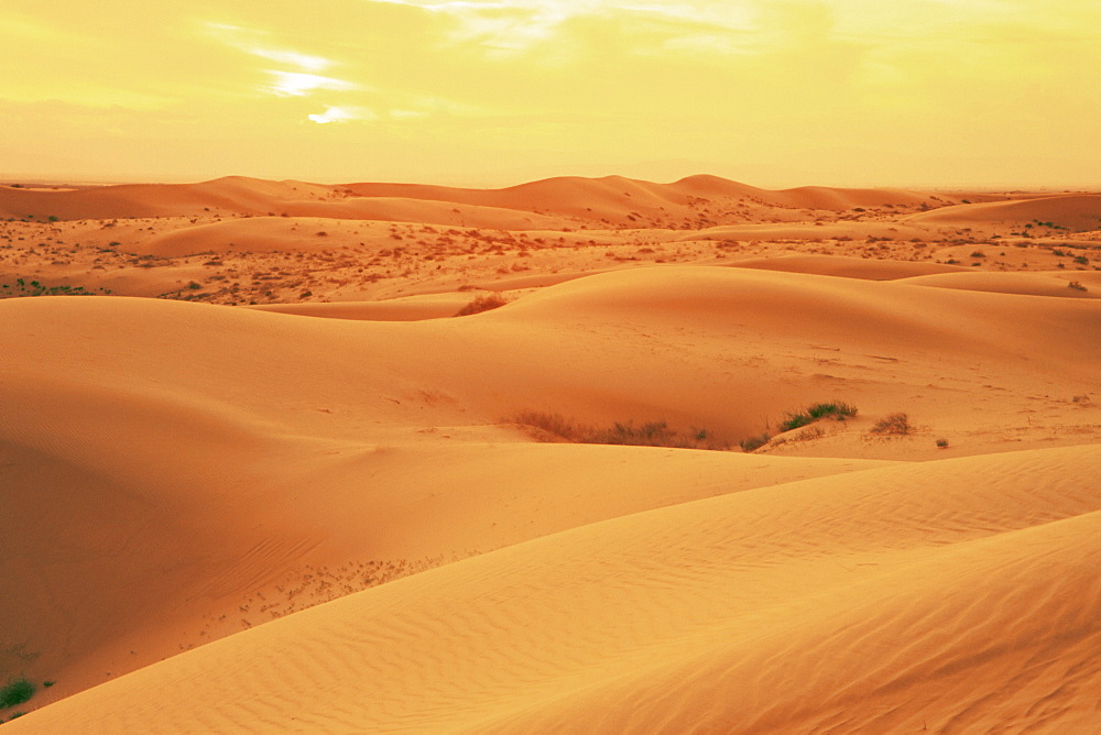 Imperial Sand Dunes State Recreation Area, California, United States of America, North America