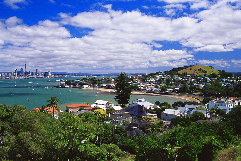 View of Auckland city from North Head Reserve, North Island, New Zealand, Pacific