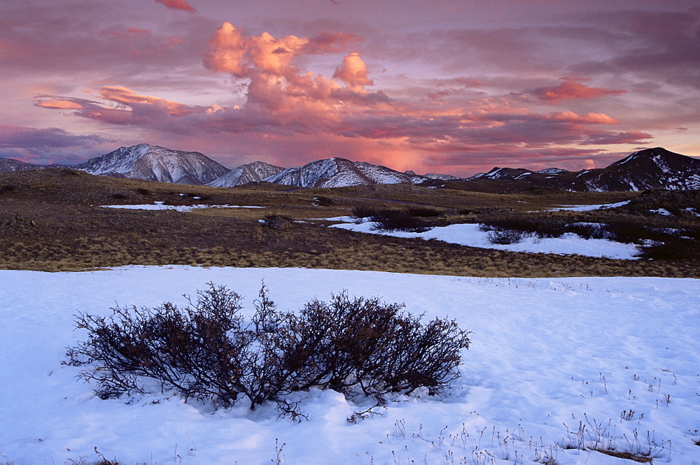 Independence Pass, Sawatch Range, Rocky Mountains, Aspen region, Colorado, United States of America, North America