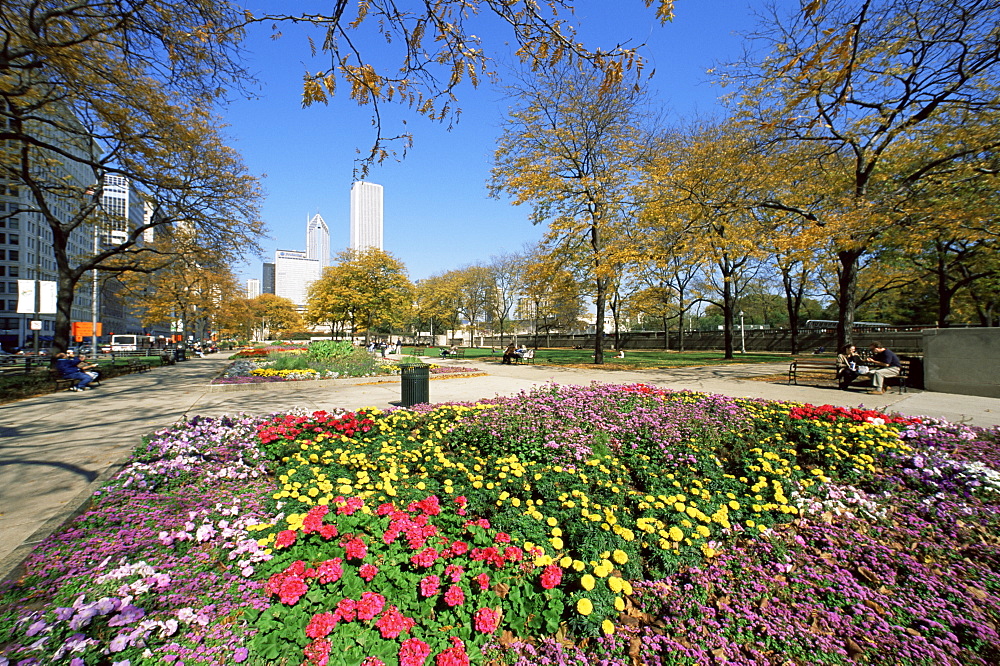 Grant Park and Michigan Avenue, Chicago, Illinois, United States of America, North America