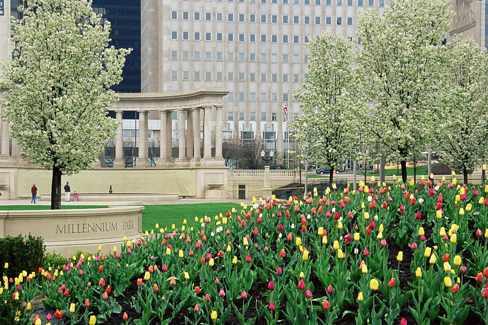 Millennium Park, Downtown Chicago, Illinois, United States of America, North America