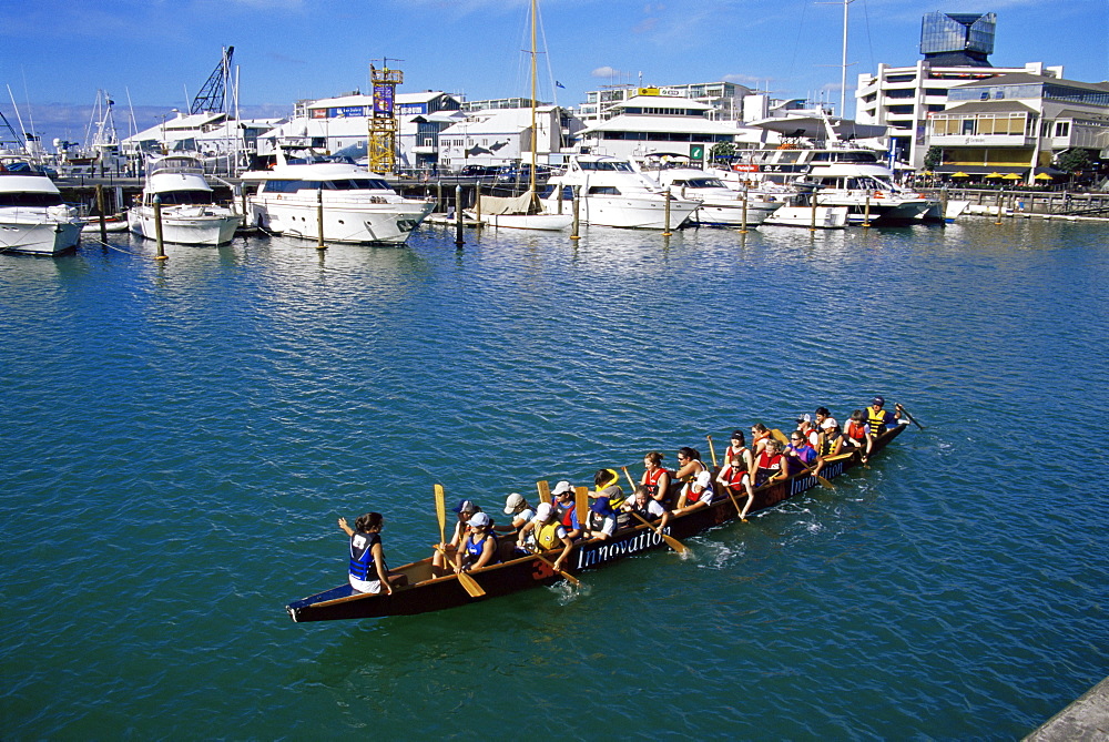 Rowing team, Viaduct Harbour, Auckland, North Island, New Zealand, Pacific