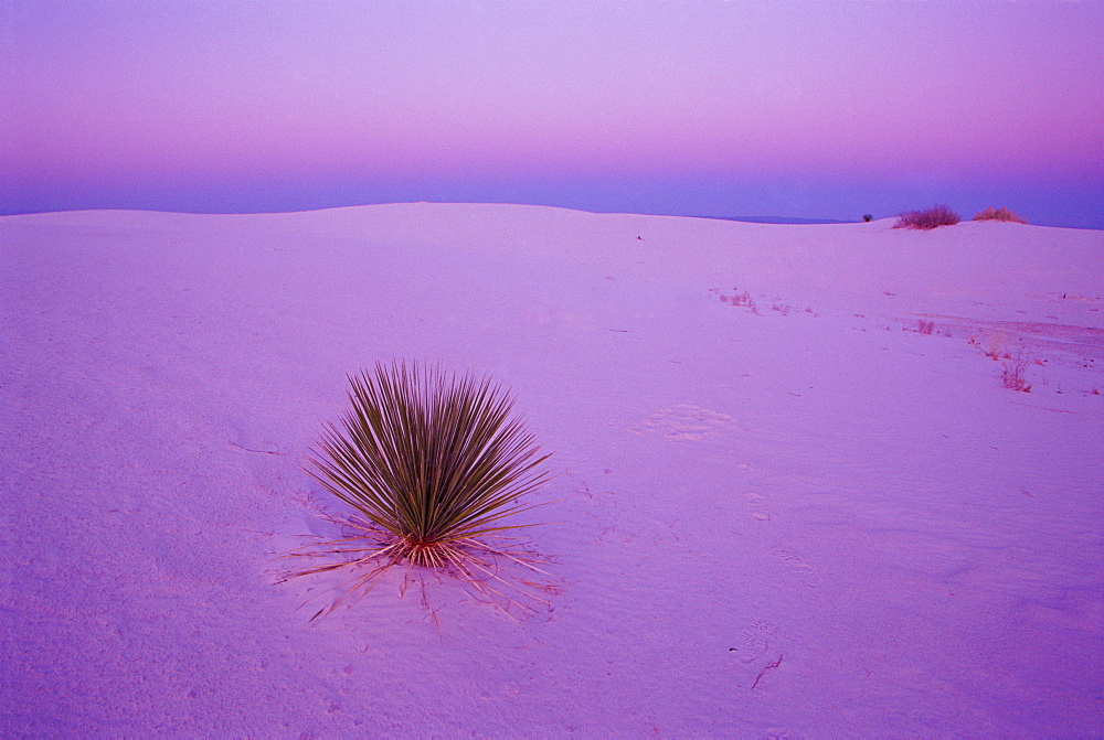 White Sands National Park, southern New Mexico, United States of America, North America