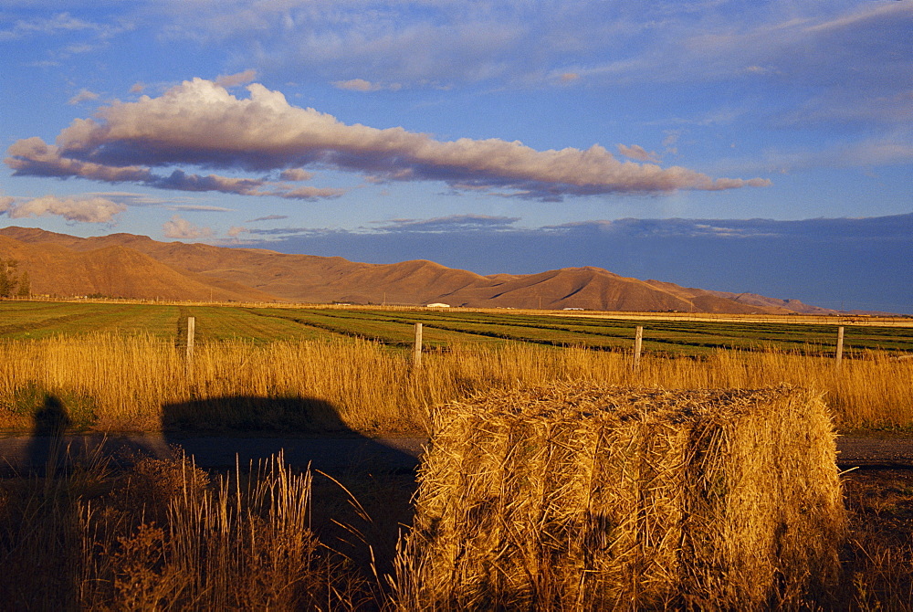 Farmland, Bellevue, Sun Valley region, Idaho, United States of America, North America