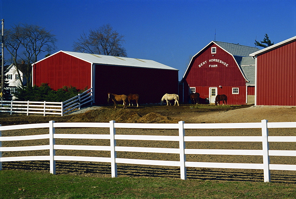 Horse farm, Racine, Greater Milwaukee area, Wisconsin, United States of America, North America