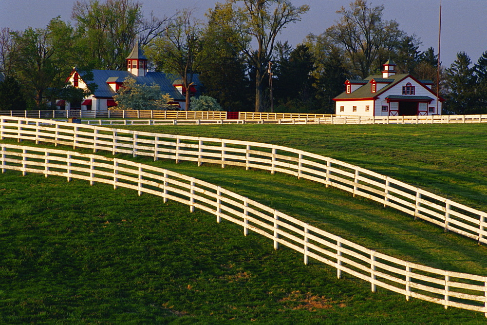 Fences at Calumet Farm, Lexington, Kentucky, United States of America, North America