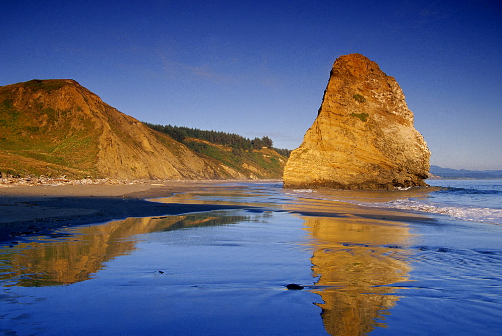 Seastack on beach, Cape Blanco, Port Orford area, Oregon, United States of America, North America