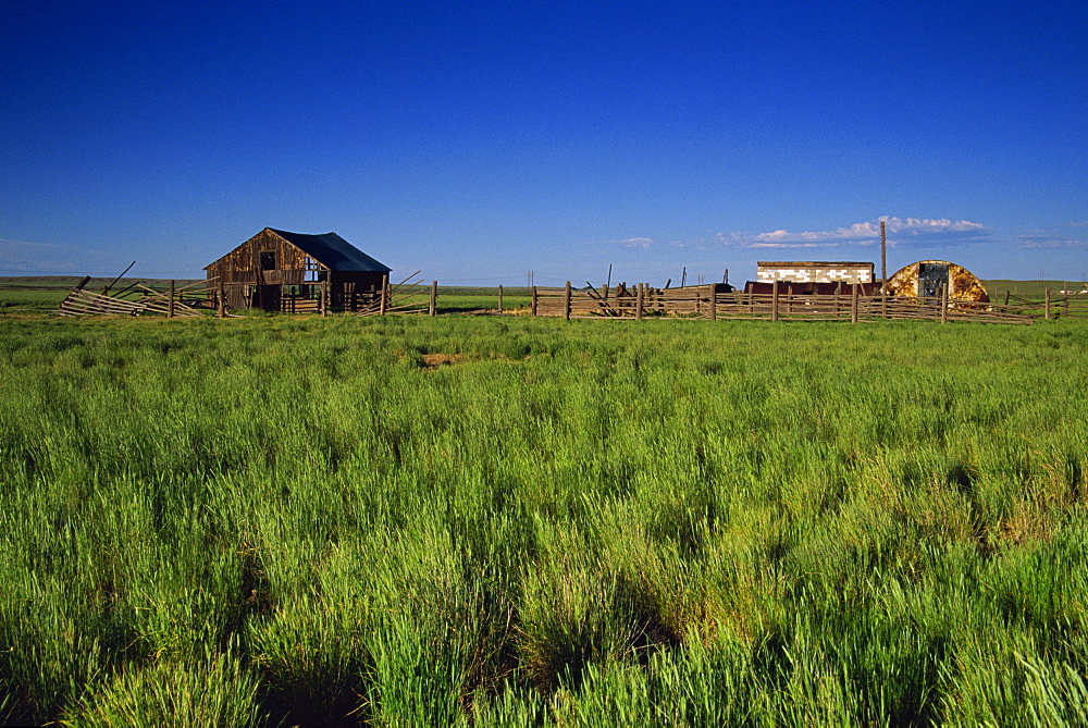 Prairie near Casper, Wyoming, United States of America, North America