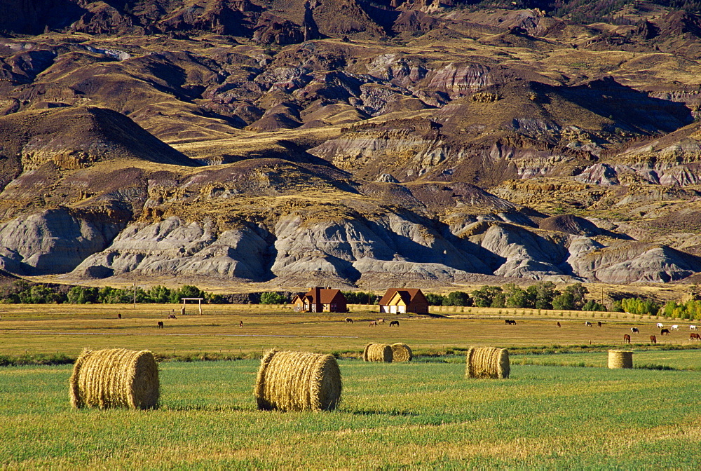 Hay bales, Wapiti Town, Yellowstone region, Wyoming, United States of America, North America