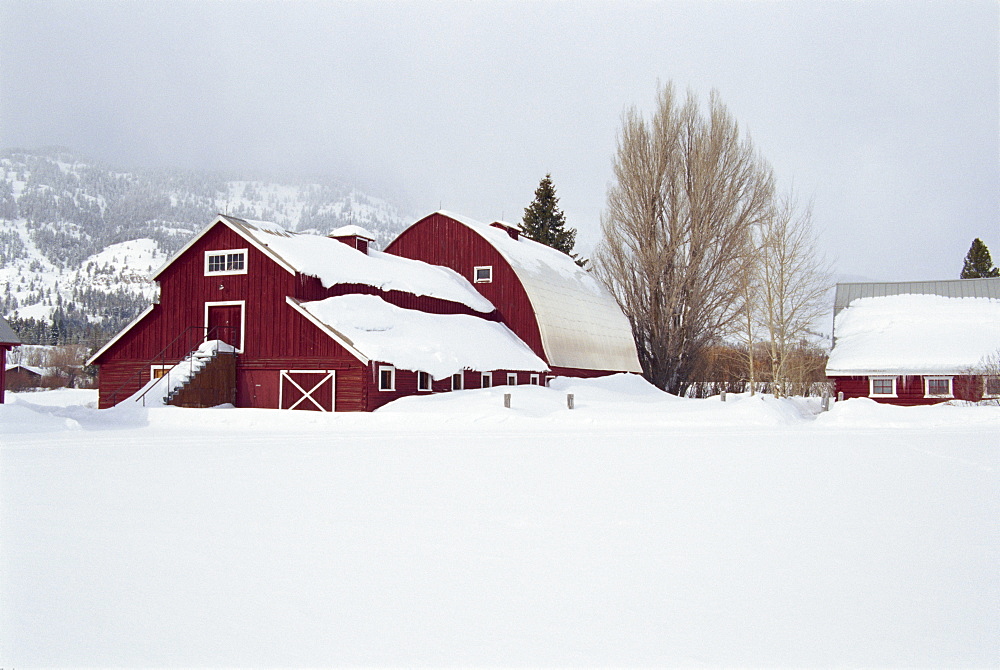 Hardeman Farm, Wilson Village, Jackson Hole, Wyoming, United States of America, North America