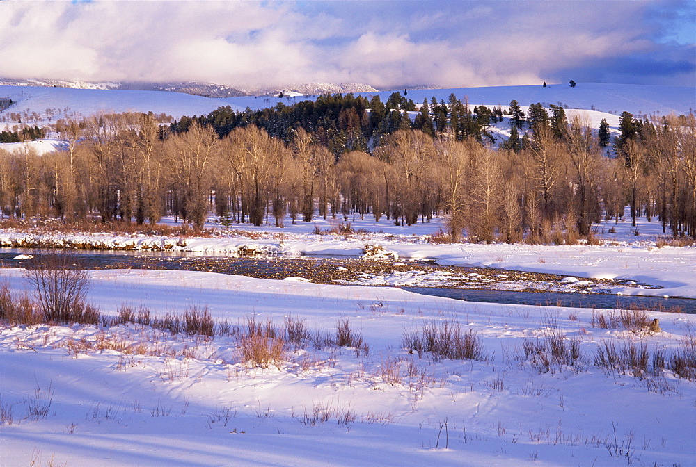 Gross Ventre River, Teton National Park, Wyoming, United States of America, North America