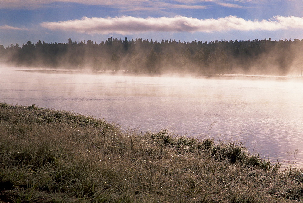 Fishing Bridge region, Yellowstone National Park, UNESCO World Heritage Site, Wyoming, United States of America, North America