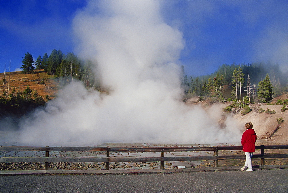 Mud Cauldron, Mud Volcano area, Yellowstone National Park, UNESCO World Heritage Site, Wyoming, United States of America, North America