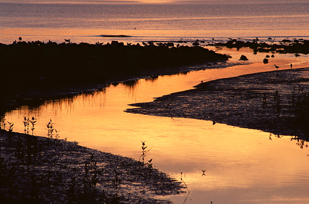 Sunset, Firth of Thames, Coromandel Peninsula, North Island, New Zealand, Pacific