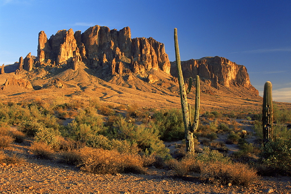 Lost Dutchman State Park, Phoenix, Arizona, United States of America, North America