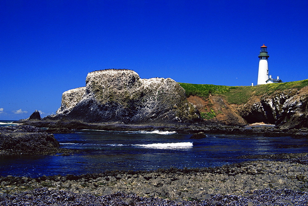 Yaquina Head lighthouse, City of Newport, Oregon, United States of America, North America