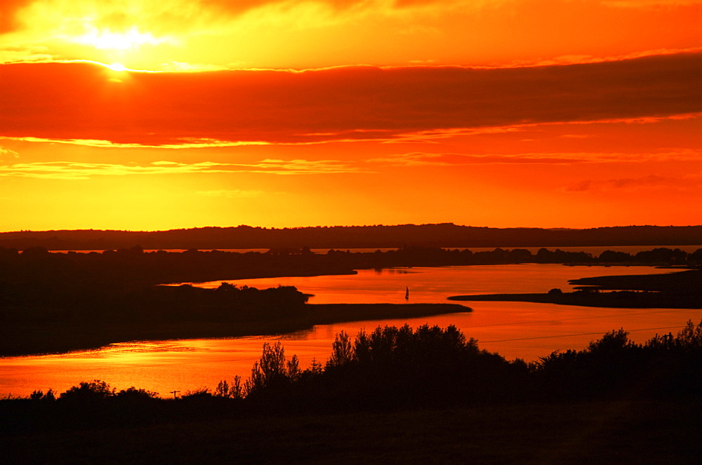 Killinure Bay, Lough Ree, County Westmeath, Leinster, Republic of Ireland, Europe