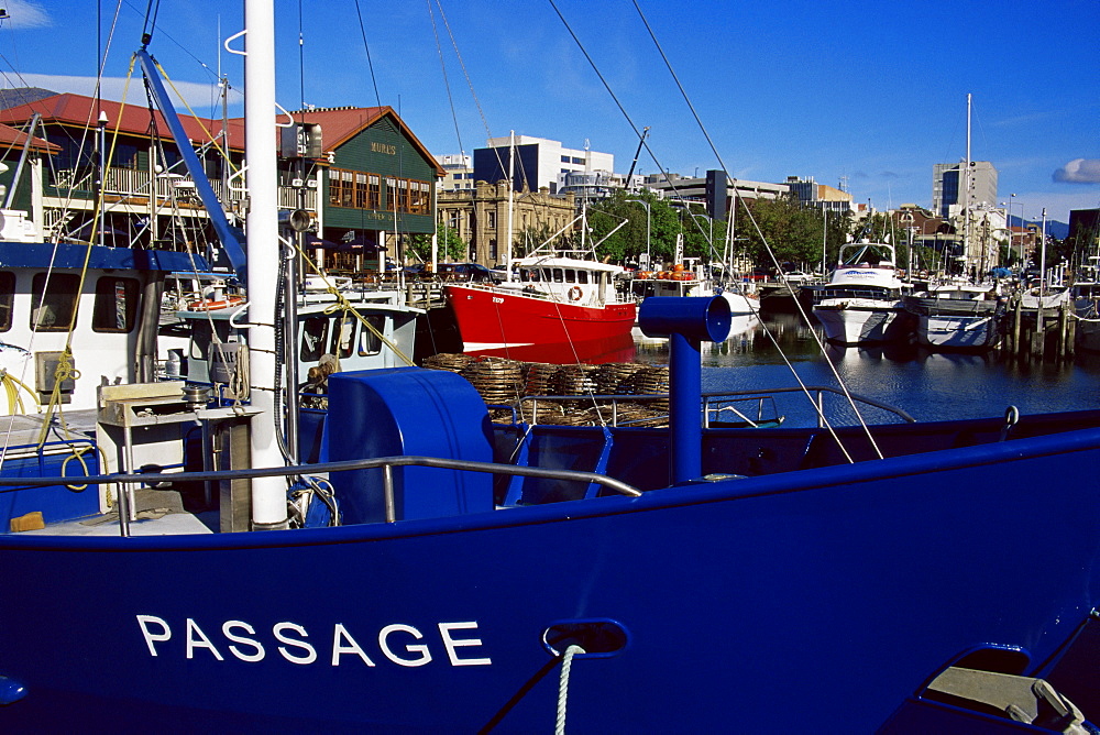 Victoria Dock, Hobart, Tasmania, Australia, Pacific