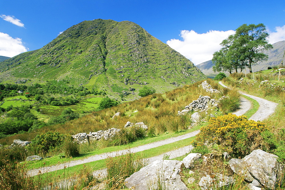 Broaghnabinnia Mountain, Black Valley, County Kerry, Munster, Republic of Ireland, Europe