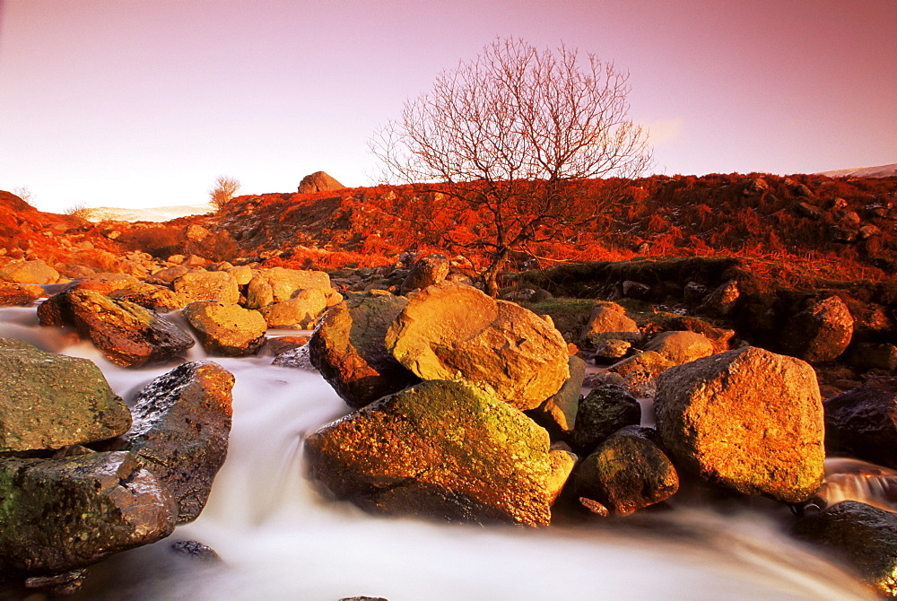 Nire Valley River, Comeragh Mountains, County Waterford, Munster, Republic of Ireland, Europe