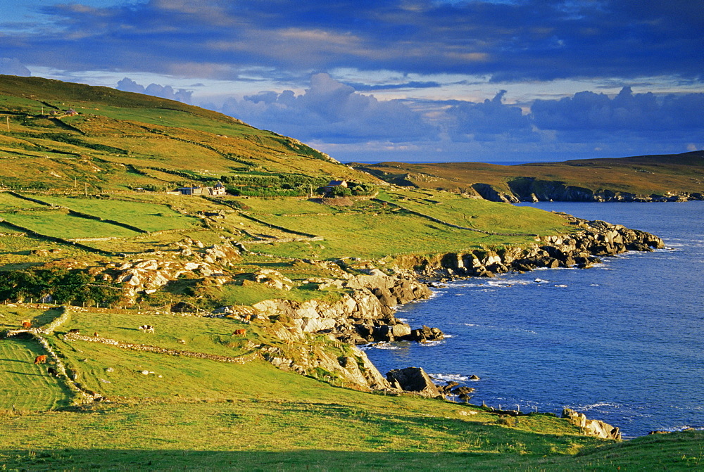 Crow Head, Dursey Sound, County Cork, Munster, Republic of Ireland, Europe