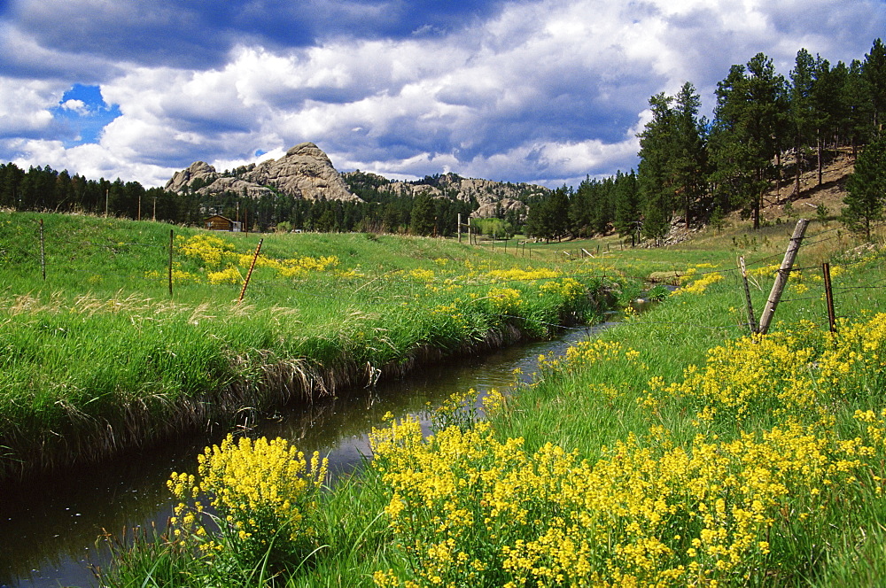 Custer City region, Black Hills, South Dakota, United States of America, North America