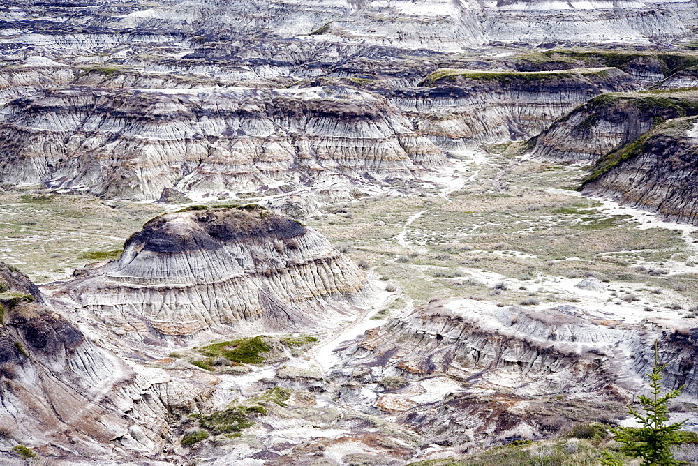 Dinosaur Valley, Drumheller, Alberta, Canada, North America