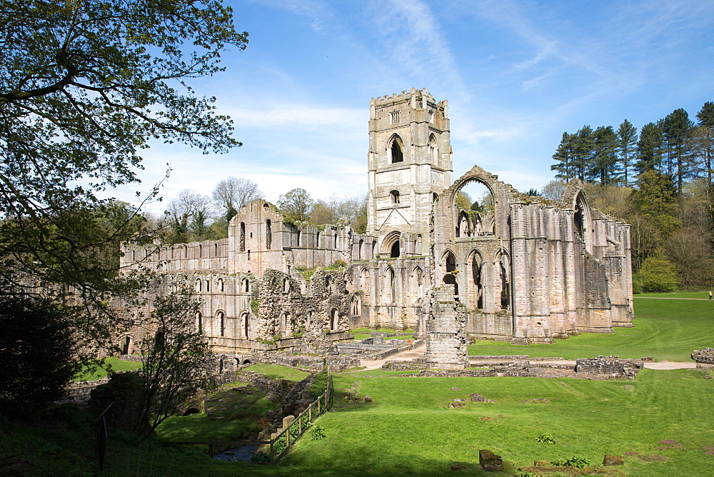 Rievaulx Abbey, North Yorkshire, Yorkshire, England, United Kingdom, Europe