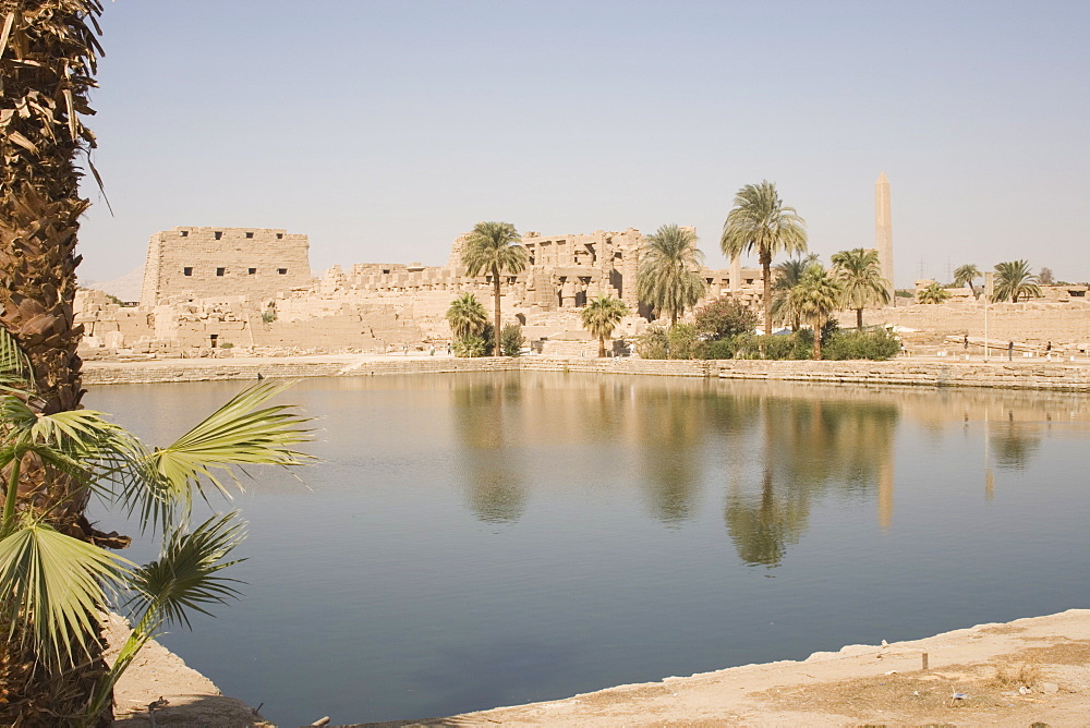 Sacred Lake, Temples of Karnak, Karnak, near Luxor, Thebes, UNESCO World Heritage Site, Egypt, North Africa, Africa