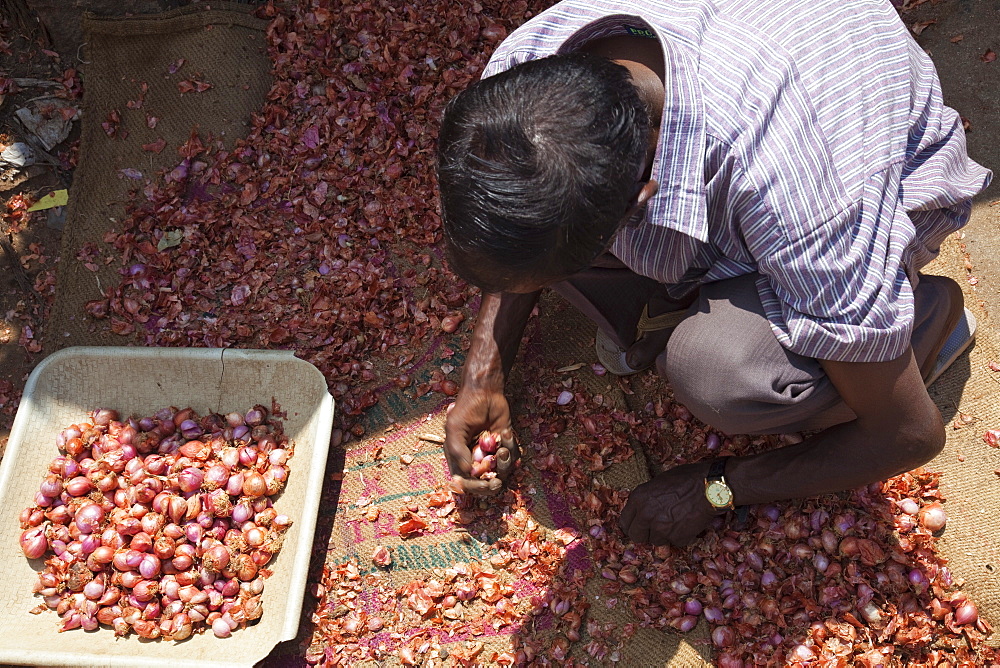 Onion seller sorting his stock on the street in Munnar, Kerala, India, Asia 