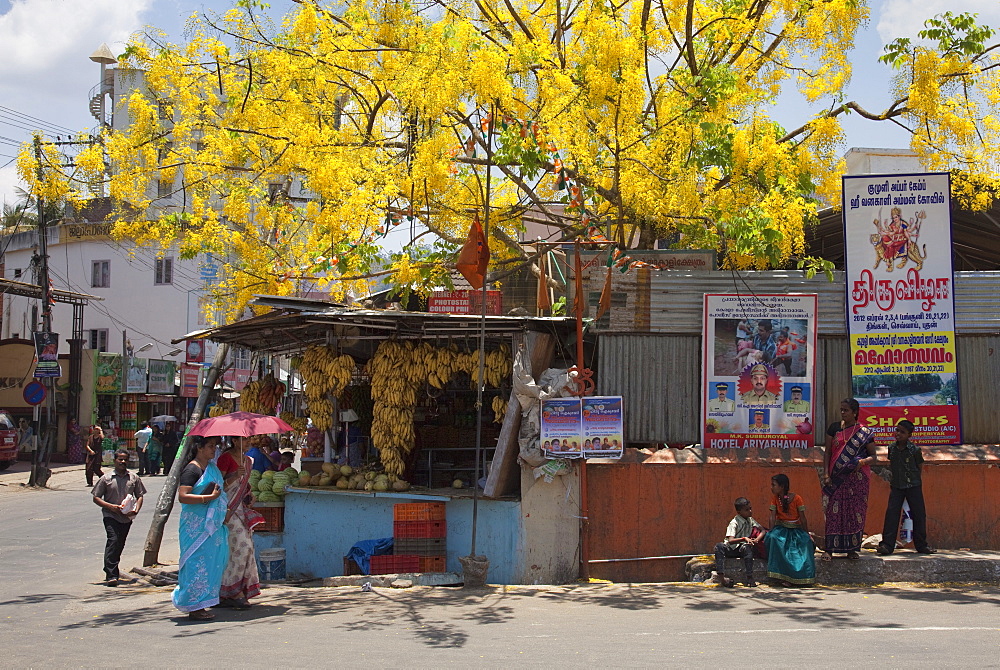 Street scene in Thekkady, Kerala, India, Asia 