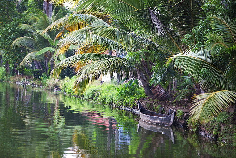 Traditional boat moored on the still water of the Kerala Backwaters, Kerala, India, Asia 