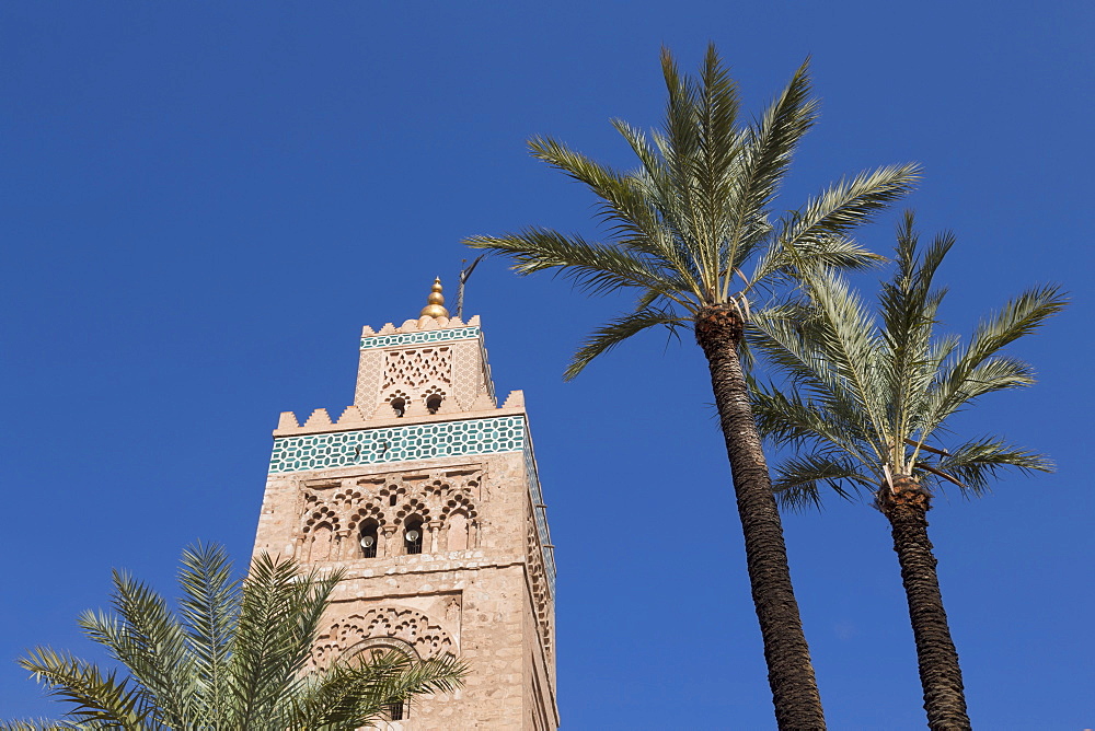 The Minaret of Koutoubia Mosque, with palm trees, UNESCO World Heritage Site, Marrakech, Morocco, North Africa, Africa