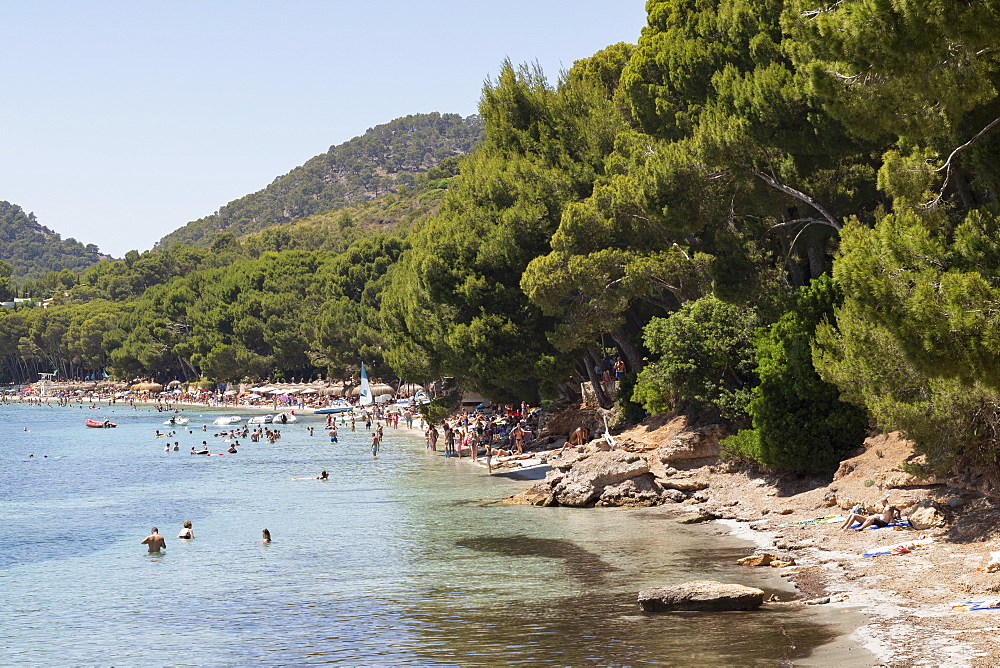 People relaxing in the calm waters of the beautiful bay of Playa (Platja) de Formentor on the northern coast of Mallorca, Balearic Islands, Spain, Mediterranean, Europe