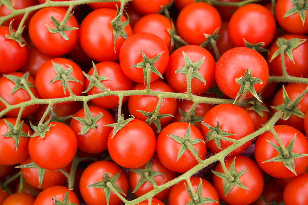 Vine tomatoes in street market, Ortygia, Syracuse, Sicily, Italy, Europe