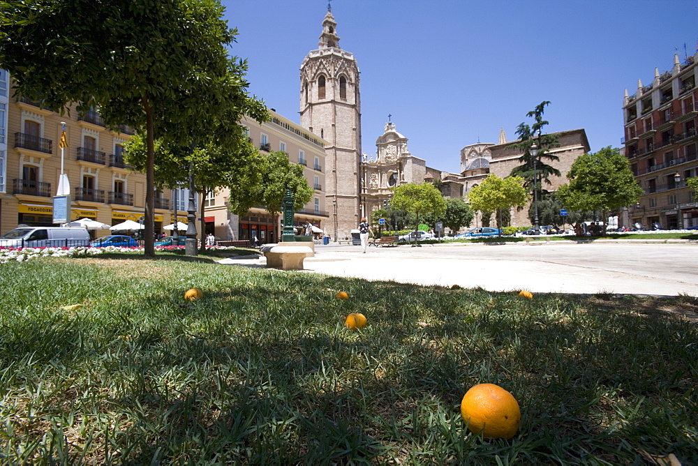 fallen orange, park gardens, tower, el Miguelet, Valencia, Mediterranean, Costa del Azahar, Spain, Europe