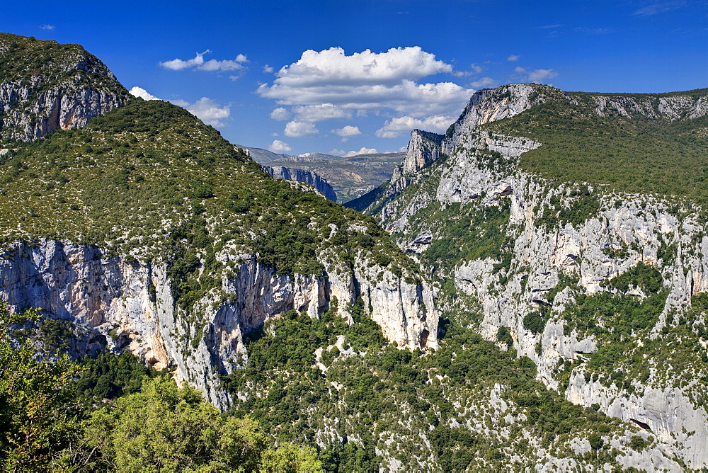 Gorge Du Verdon, Provence, France, Europe