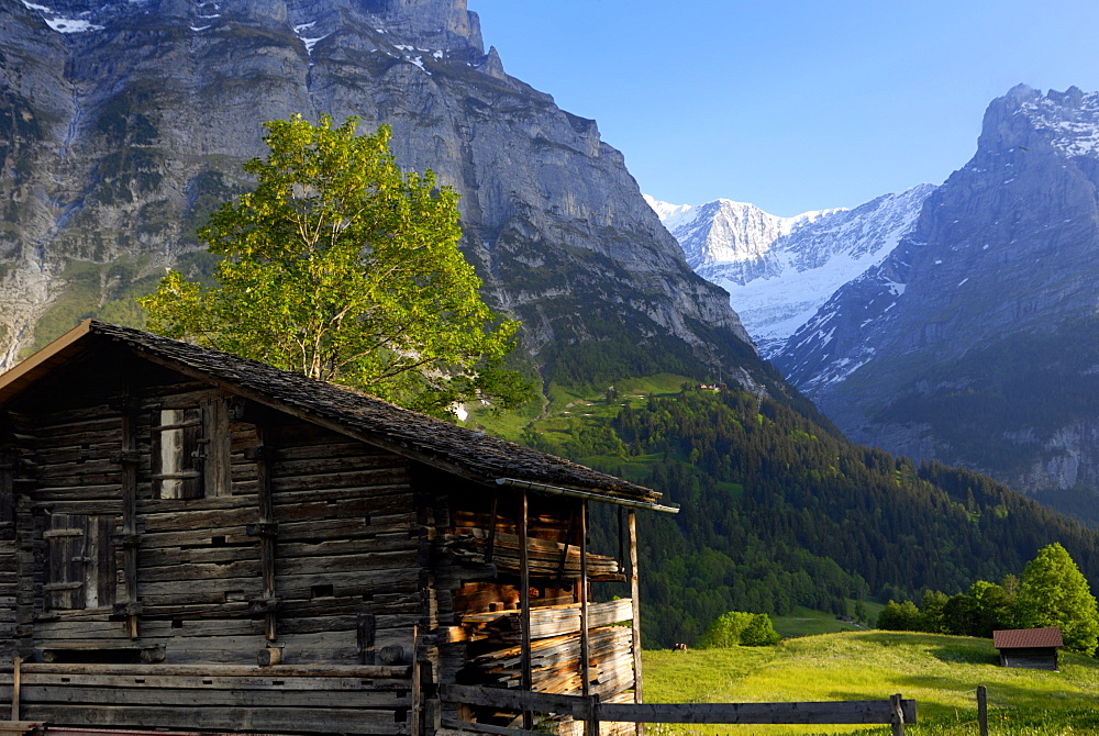 Chalet and mountains, Grindelwald, Bern, Switzerland, Europe