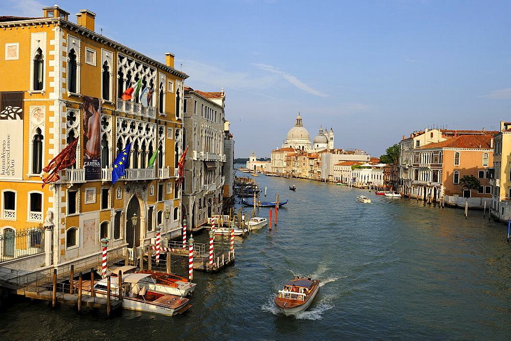 Palazzo Cavalli Franchetti on the Grand Canal with the Basilica di Santa Maria della Salute in the background, Venice, UNESCO World Heritage Site, Veneto, Italy, Europe