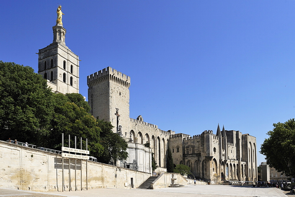 Notre Dame des Doms Cathedral and Palais des Papes (Papal Palace), UNESCO World Heritage Site, Avignon, Provence, France, Europe