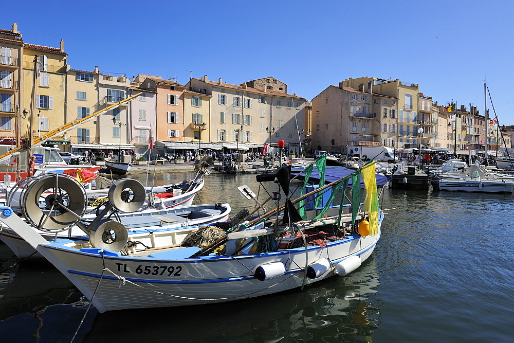 Fishing boats in Vieux Port harbour, St. Tropez, Var, Provence, Cote d'Azur, France, Mediterranean, Europe