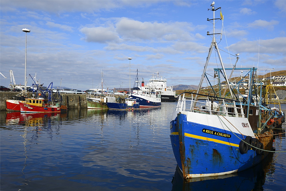 Fishing boats in the harbour, Mallaig, Highlands, Scotland, United Kingdom, Europe