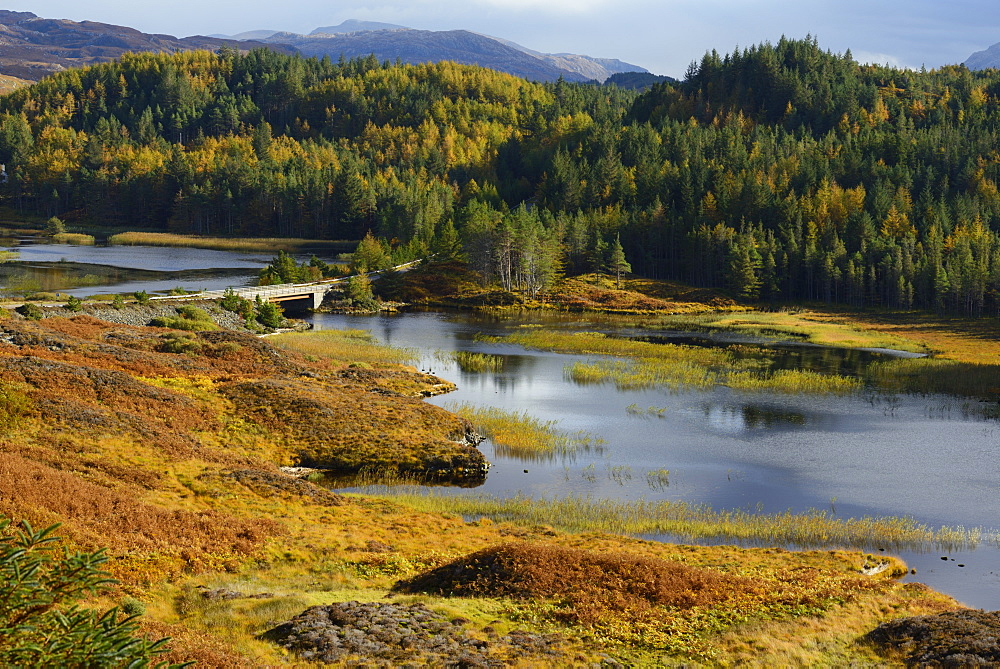 Loch Dubhaird Mor and Duartmore Forest, Highlands, Scotland, United Kingdom, Europe 