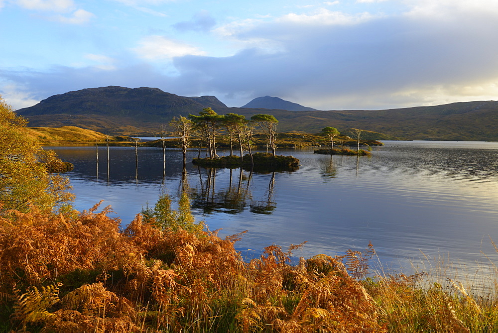 Evening sunlight, Loch Assynt, National Nature Reserve, Sutherland, Highlands, Scotland, United Kingdom, Europe 