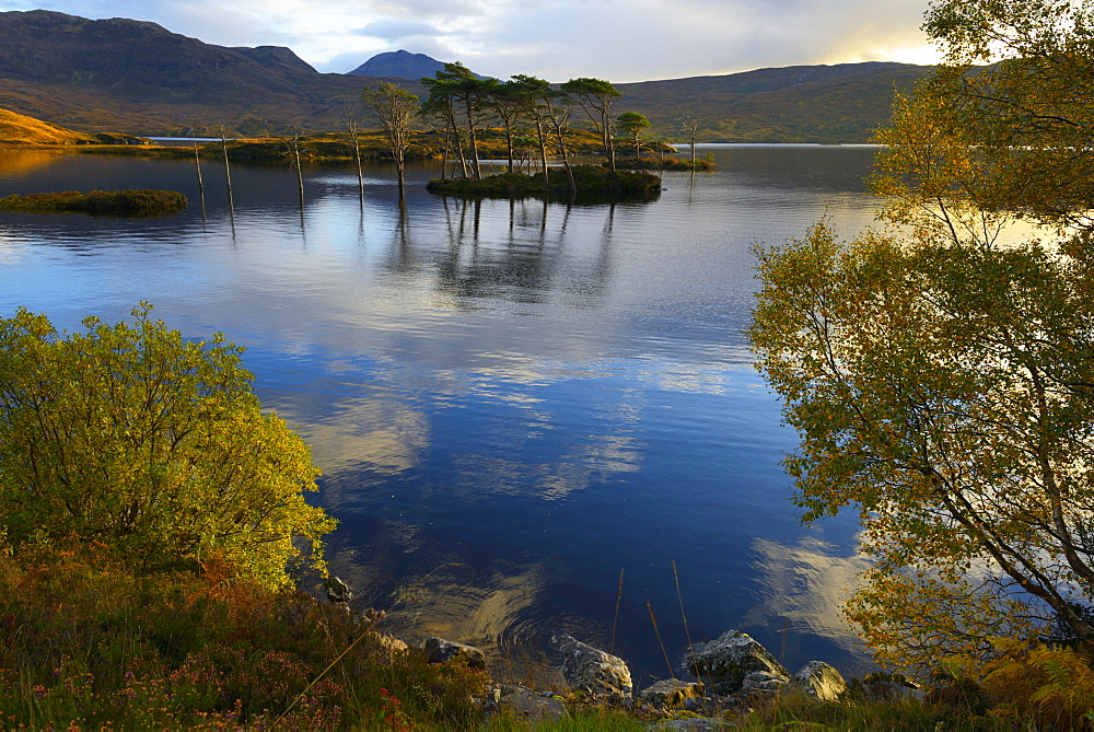 Evening sunlight, Loch Assynt, National Nature Reserve, Sutherland, Highlands, Scotland, United Kingdom, Europe 