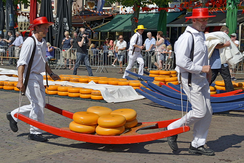 Cheese porters carrying cheese wheels on wooden sledges at the Friday Cheese Market, Waagplein Square, Alkmaar, North Holland, Netherlands, Europe