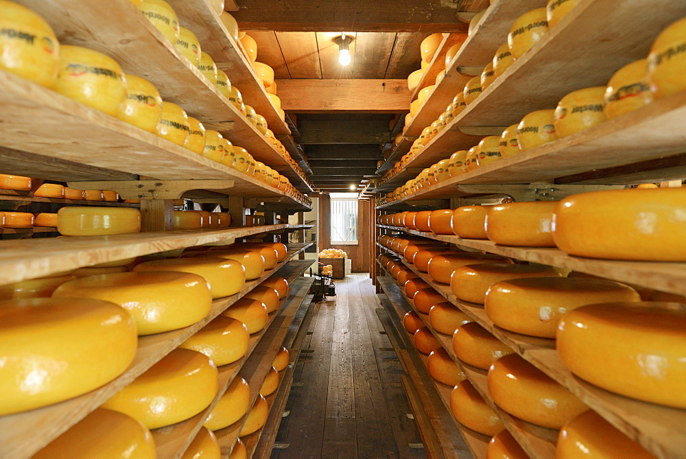 Cheese warehouse, Zuiderzee open air museum, Lake Ijssel, Enkhuizen, North Holland, Netherlands, Europe